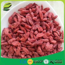 Importación negro goji baya plantas secas goji